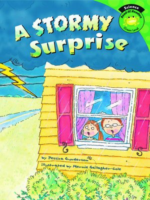 cover image of Stormy Surprise